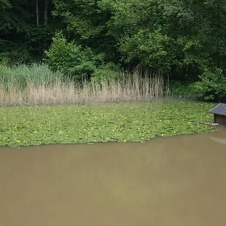 Restaurant Muckensee Otel Lorch