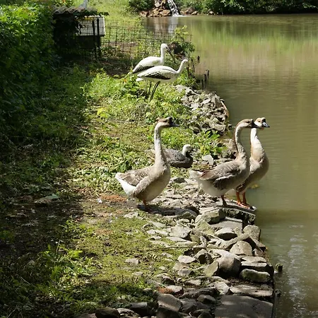 Restaurant Muckensee 3* Lorch