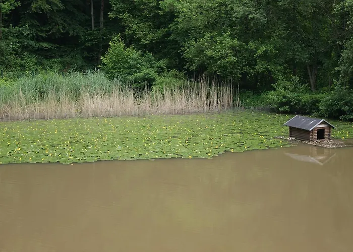 Restaurant Muckensee Hotel Lorch