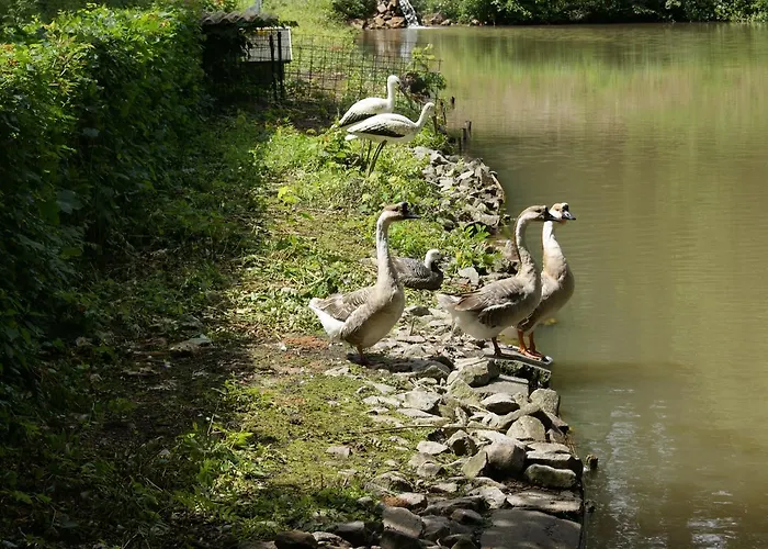 Restaurant Muckensee 3* Lorch